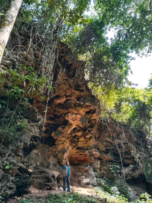 Gua jeruk - Image 1
