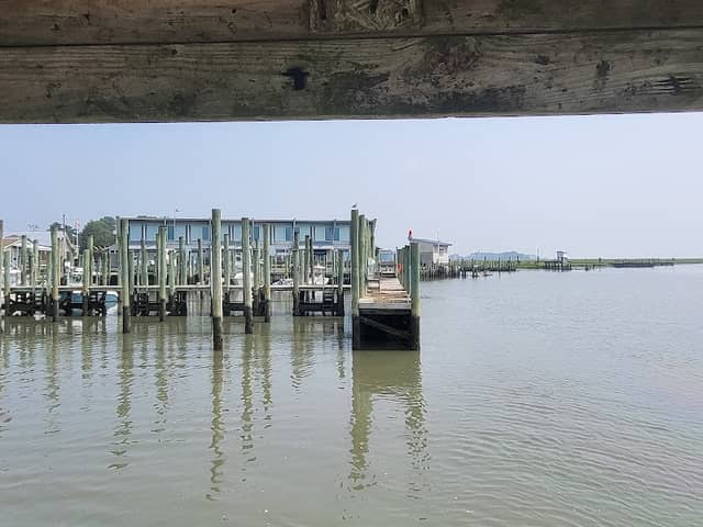 Wachapreague Seaside Park - Image 2