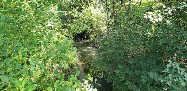 Oak Creek Park - Image 2