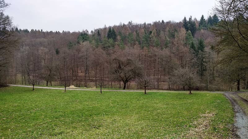 Nüstenbach Nature Reserve - Image 1
