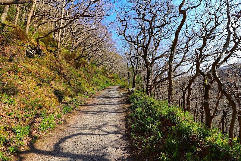 Bellevue Woods - Image 1