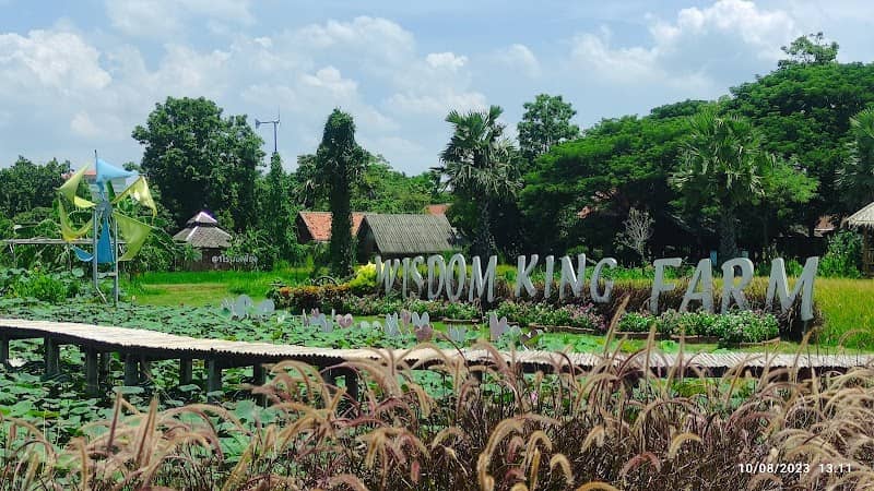 Wisdom King Farm - Image 2