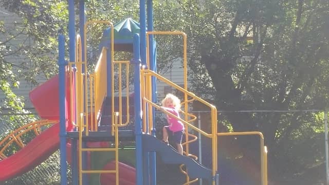 Gene Reed Park - Image 3