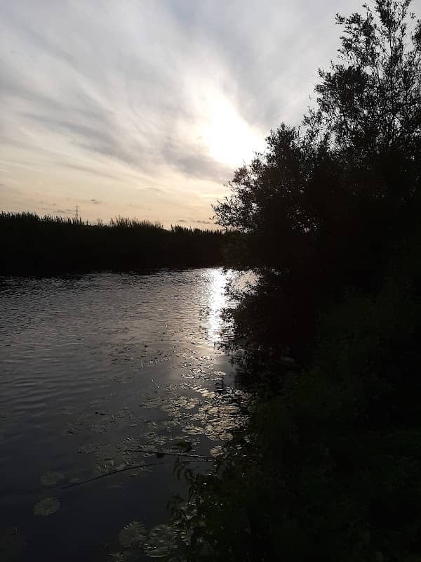 Loughborough Meadows - Image 1