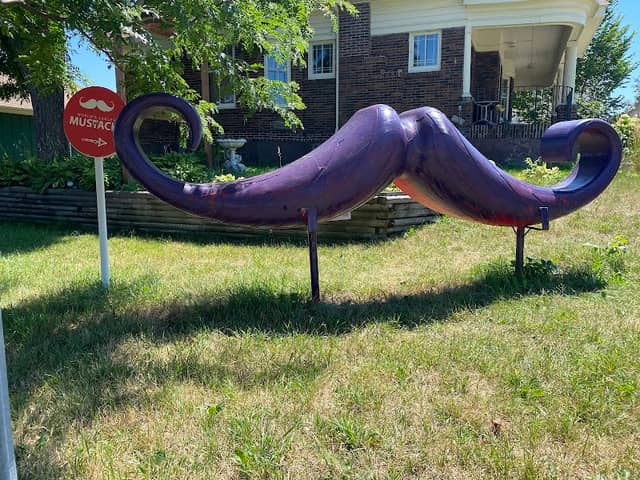 World's Largest Mustache - Image 1