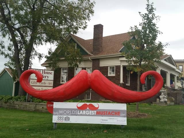 World's Largest Mustache - Image 3