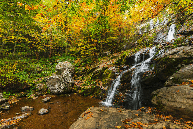 Shenandoah National Park - Image 2