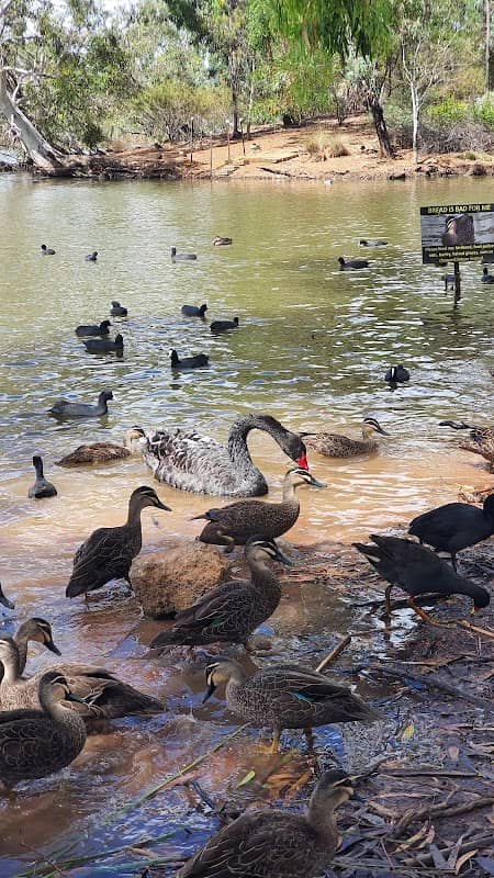 Malcolm's Pond - Image 1