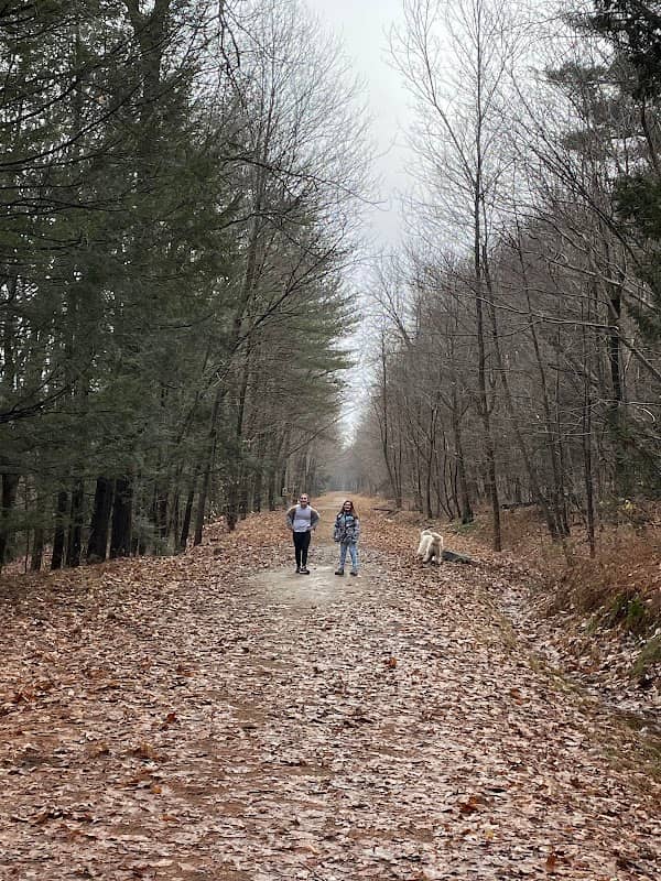 Mass Central Rail Trail (Wachusett Street Section) - Image 2