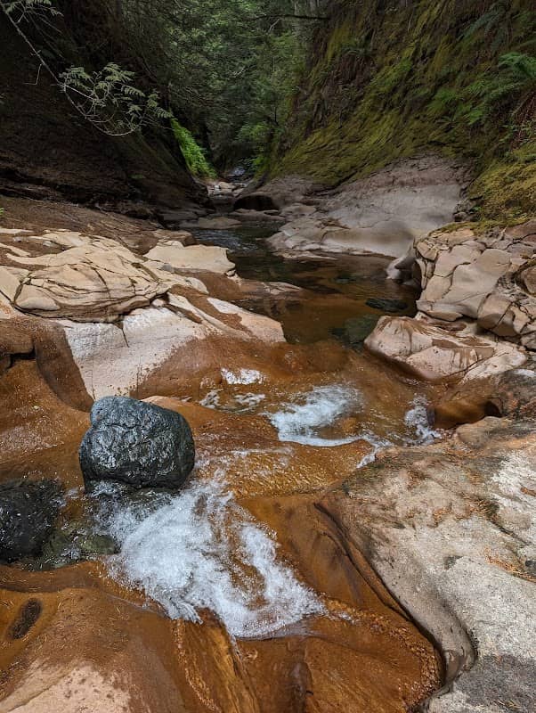 Scenery tours Vancouver Island - Image 1