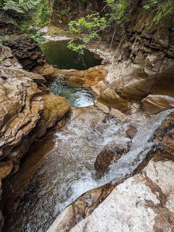 Scenery tours Vancouver Island - Image 2