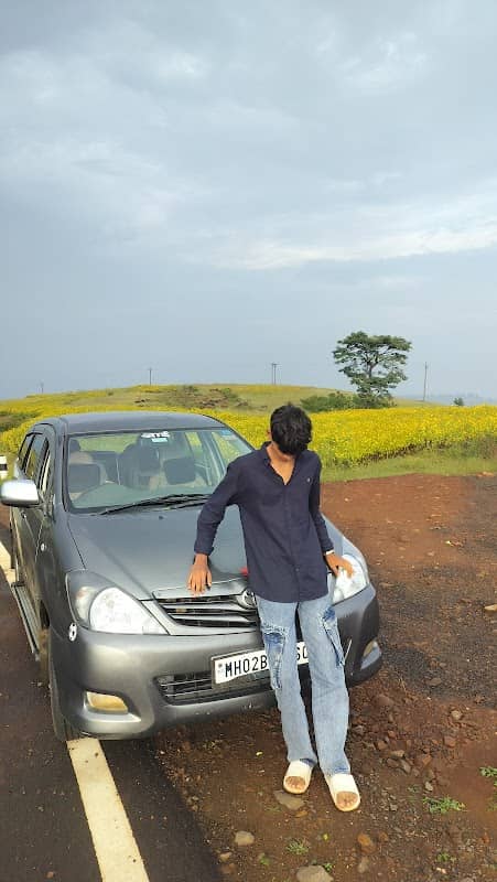 नैसर्गिक पिले फुलो की घाटी - Image 2