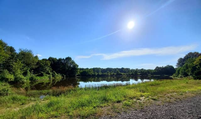 Departee Creek WMA - Image 1