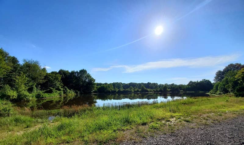 Departee Creek WMA - Image 1