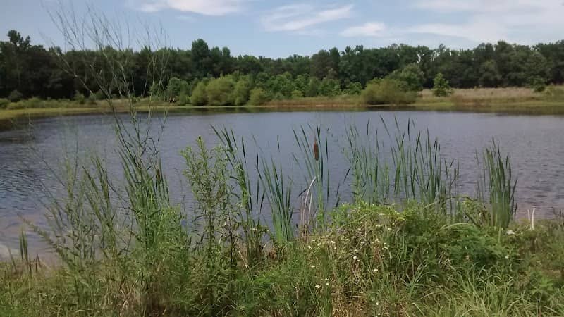 Departee Creek WMA - Image 2