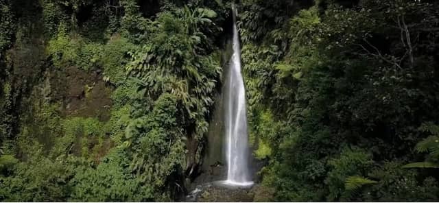 Air Terjun Curug Ciismun Kebun Raya Cibodas, BRIN - Image 1