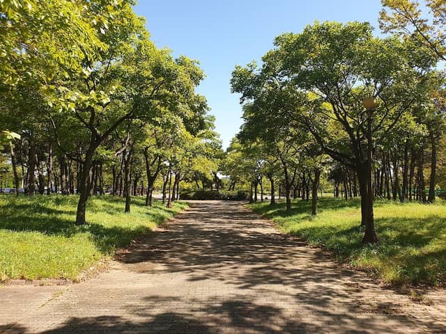 희망공원 - Image 1