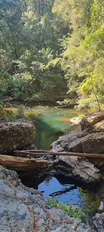 Urumbilum Creek - Image 1