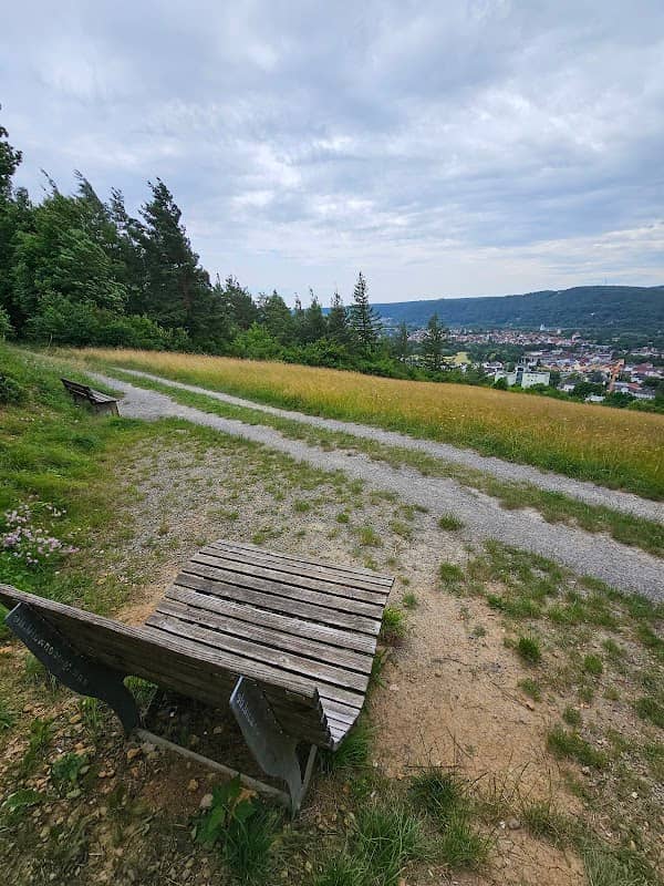 Waldsofa - Image 2