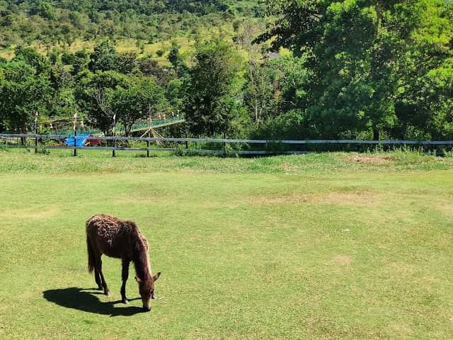 Mitra's Ranch - Image 2