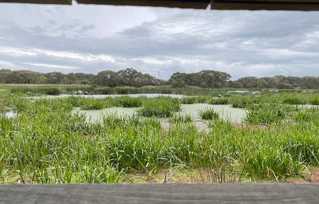 Baxters Wetland - Image 1