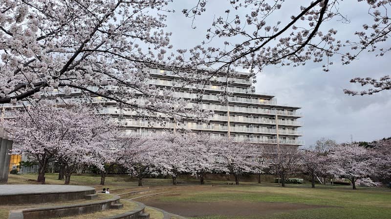 Wakabadai Park - Image 1