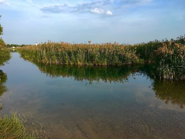 St. John's Marsh Wildlife Area - Image 1