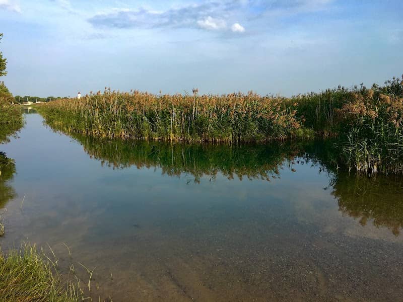 St. John's Marsh Wildlife Area - Image 1