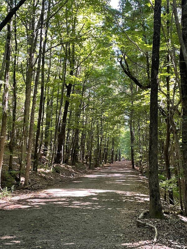 South Campus Mountain Bike Trails - Image 2