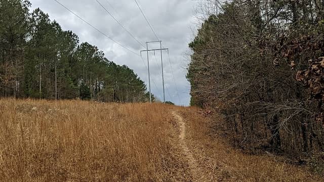 South Campus Mountain Bike Trails - Image 1