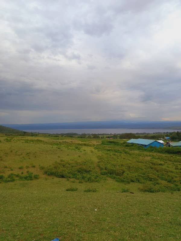 Museum grounds - Image 1