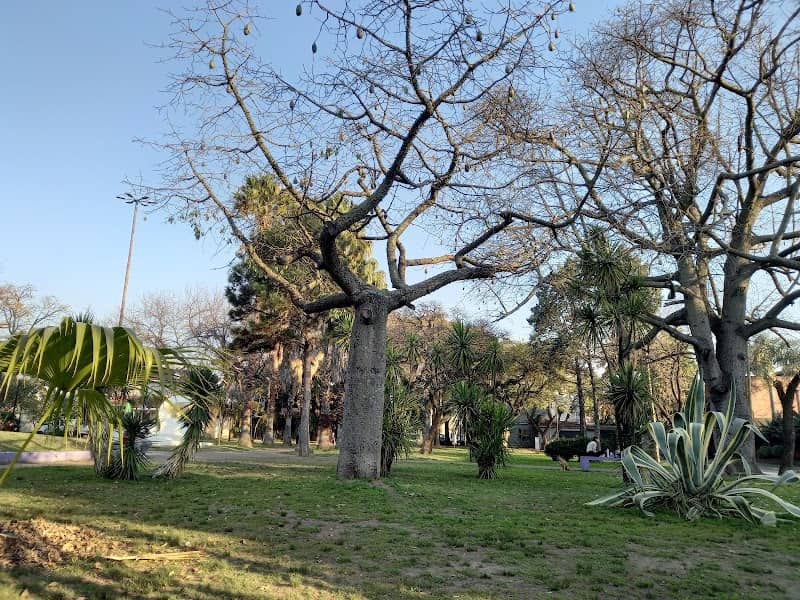PLAZA SPILIMBERGO - Image 1