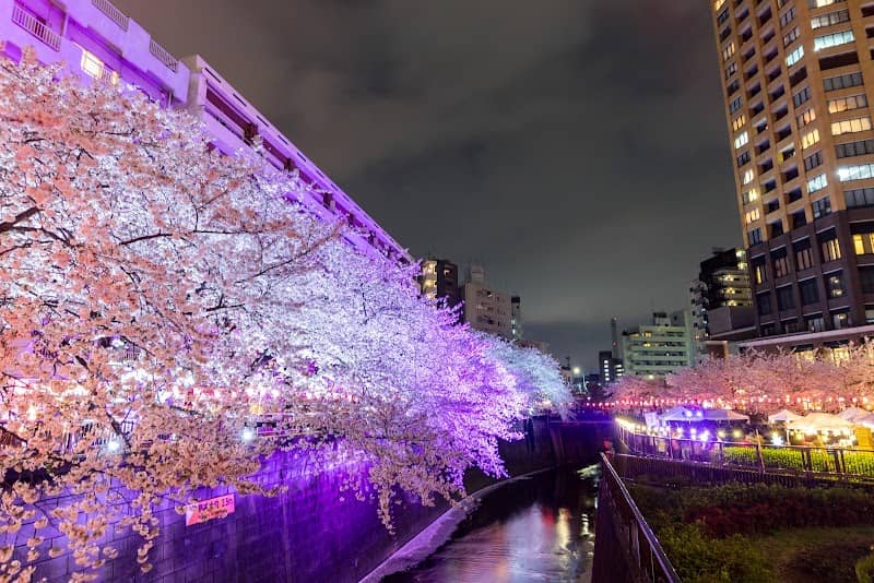 Meguro River - Image 1