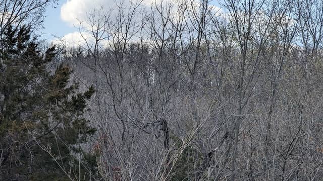 Granny's Acres Conservation Area - Image 2