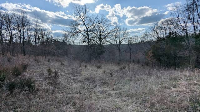 Granny's Acres Conservation Area - Image 1