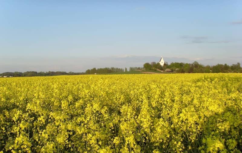 Parthenaue Plösitz-Dewitz - Image 1