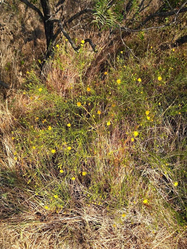 Little Bear Creek Linear Park - Image 2