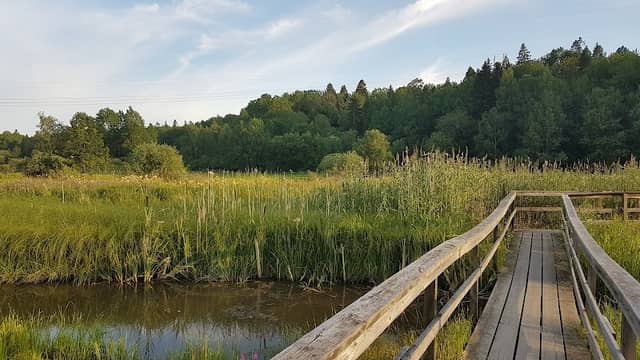 The Flemingsberg Forest Nature Reserve - Image 1