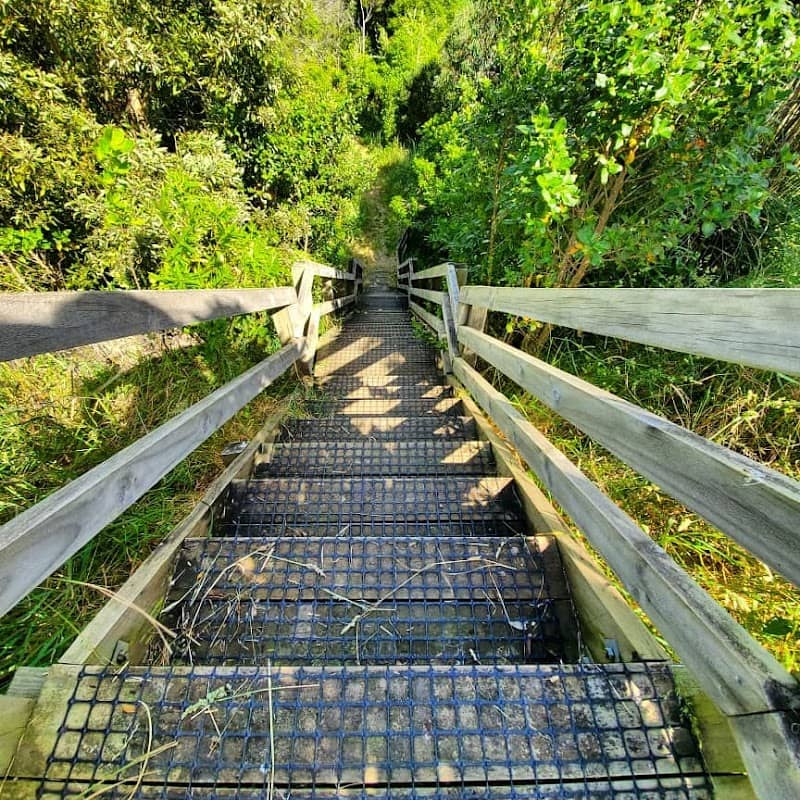 Upper Turitea Green Corridor - Image 2
