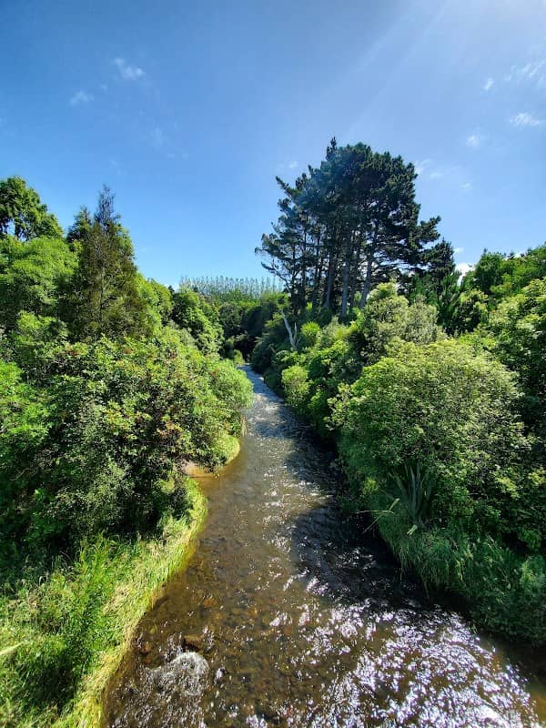 Upper Turitea Green Corridor - Image 1