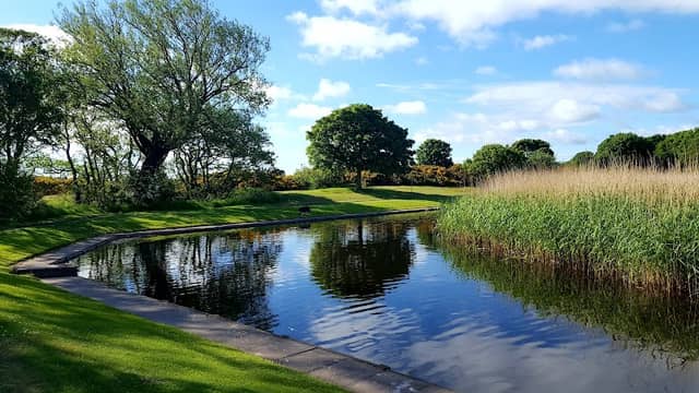 Curlie Pond - Image 1