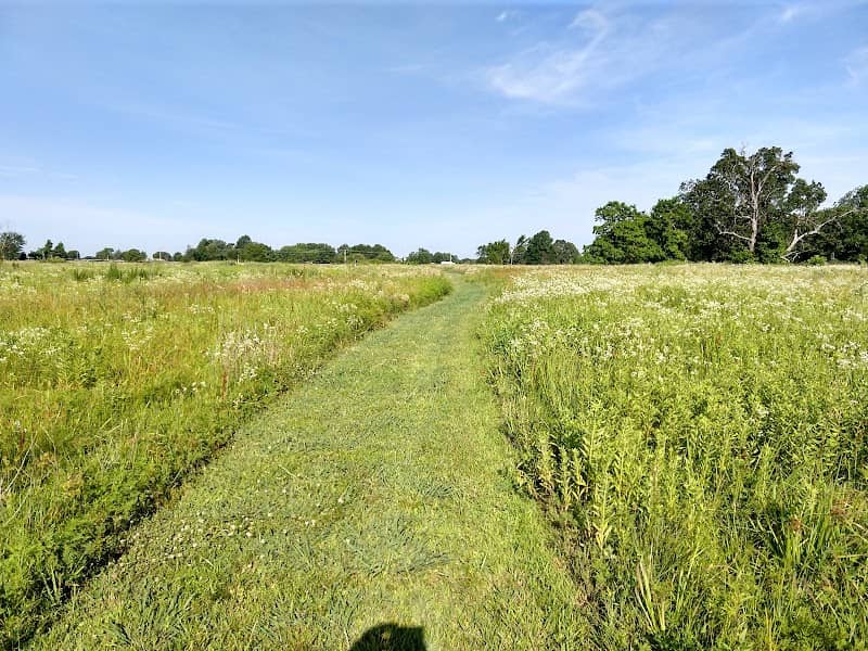 Woolsey Wet Prairie - Image 1