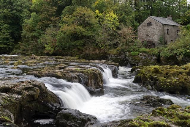 Cenarth Falls - Image 1