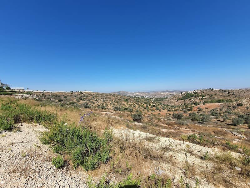 עמק הצבאים - עלי - Image 1