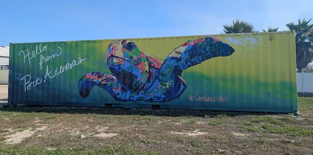 Turtle Port Aransas mural - Image 2