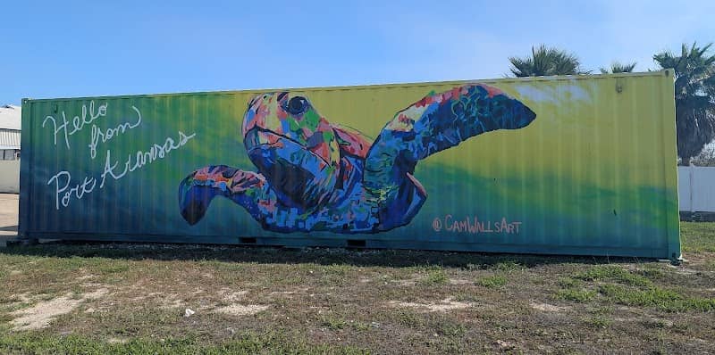 Turtle Port Aransas mural - Image 2