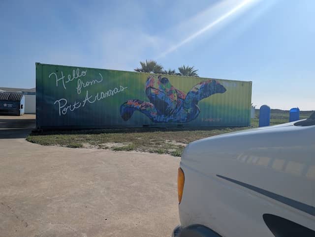 Turtle Port Aransas mural - Image 1