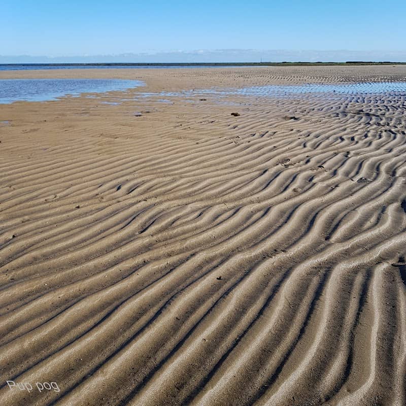 Ricketts Point Marine Sanctuary (Parks Victoria) - Image 2