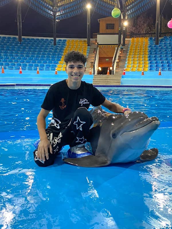 Dolphina Park - Image 2
