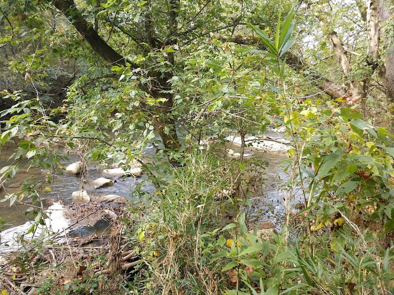 Limestone Creek Trailhead - Image 2